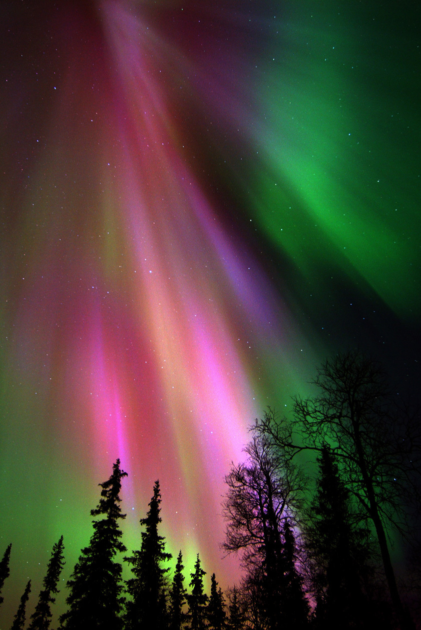 Aurora Boreale Foto: Copyright © Ente del Turismo Finlandese