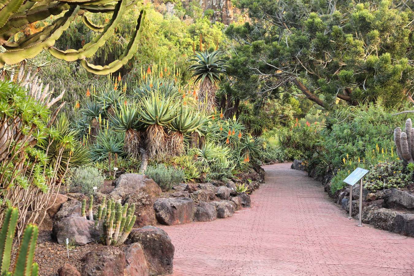 Gran Canaria. Botanical garden.