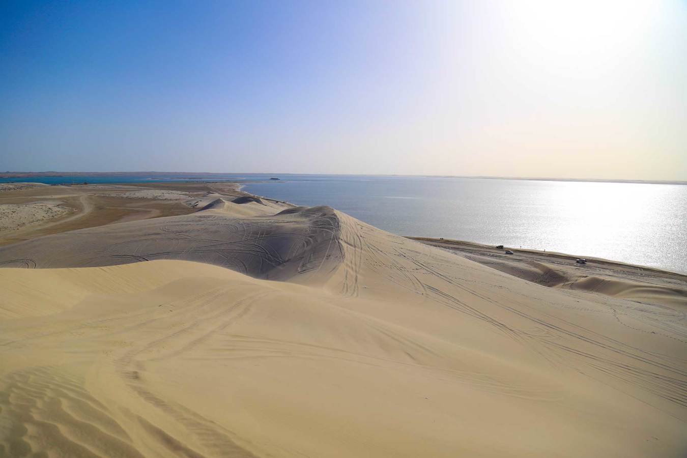 The Desert of Qatar. 