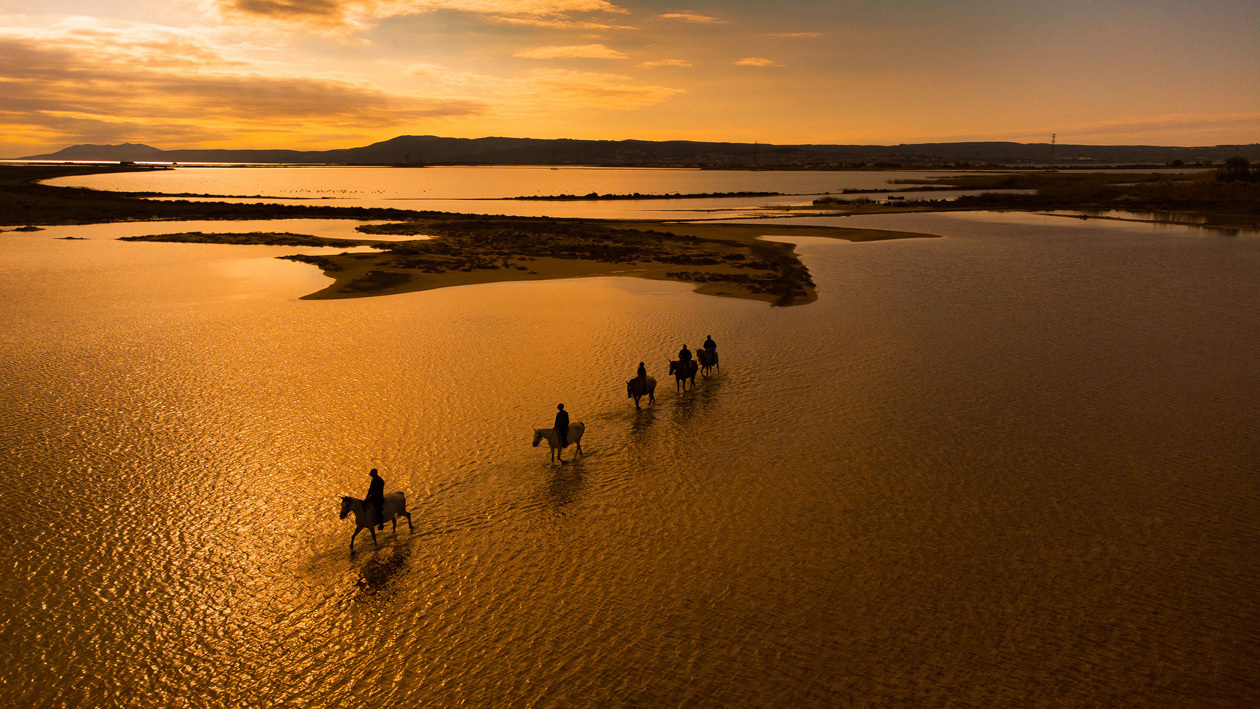 Passeggiata con cavalli al tramonto Foto: © Copyright Regione Sardegna - Ettore Cavalli