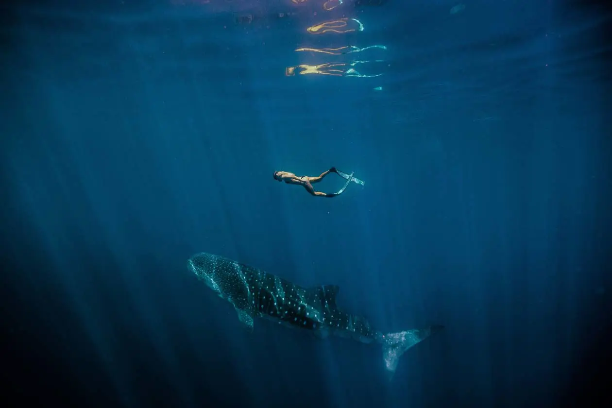 Ningaloo Marine Park (c)Tourism Western Australia