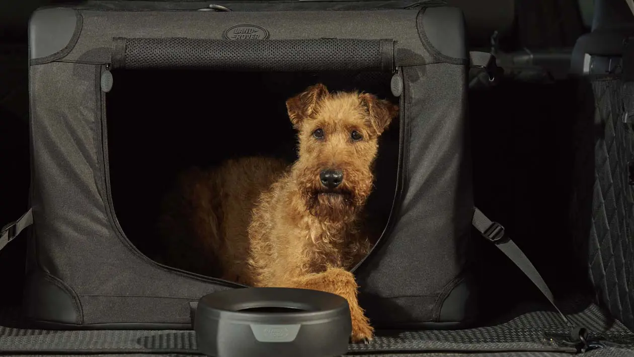 Discovery Pet Pack Copyright © Land Rover