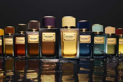 The new sensory creations of the exclusive Velvet Collection