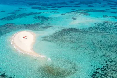 The blue call of the ocean
