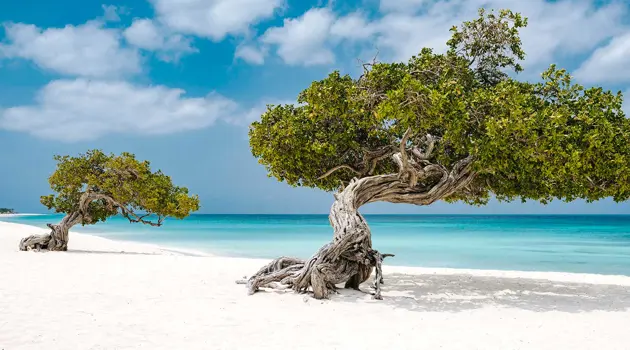 A trip to the Biosphere Reserve of the island of Aruba