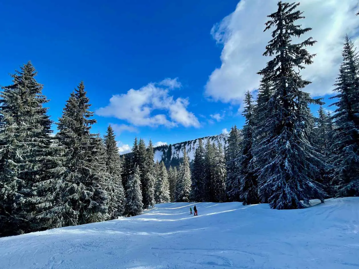 les portes du soleil route de vonnes chatel france - photo by Reese Braamon unsplash