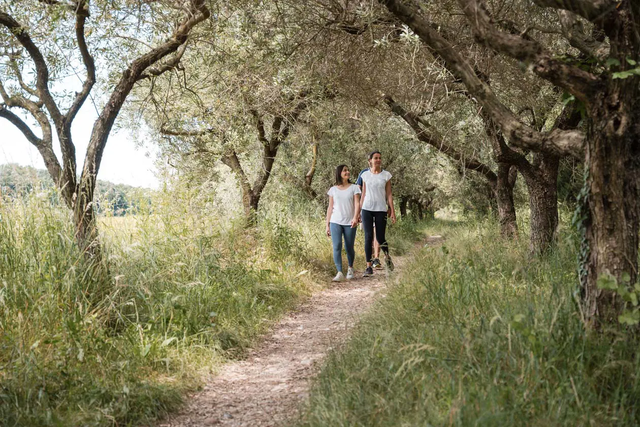 Boffenigo - The Golden Hour, camminate tra gli ulivi delle colline di Costermano. Foto: Copyright © Ufficio Stampa Boffenigo - The Golden Hour