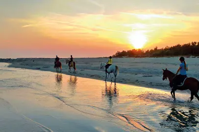 In vacanza con il cane e il cavallo