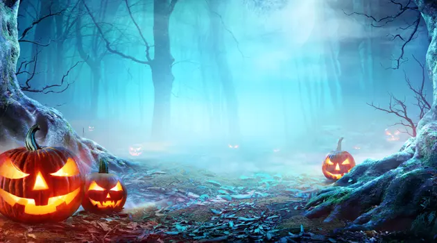 What to do on Halloween in Venice