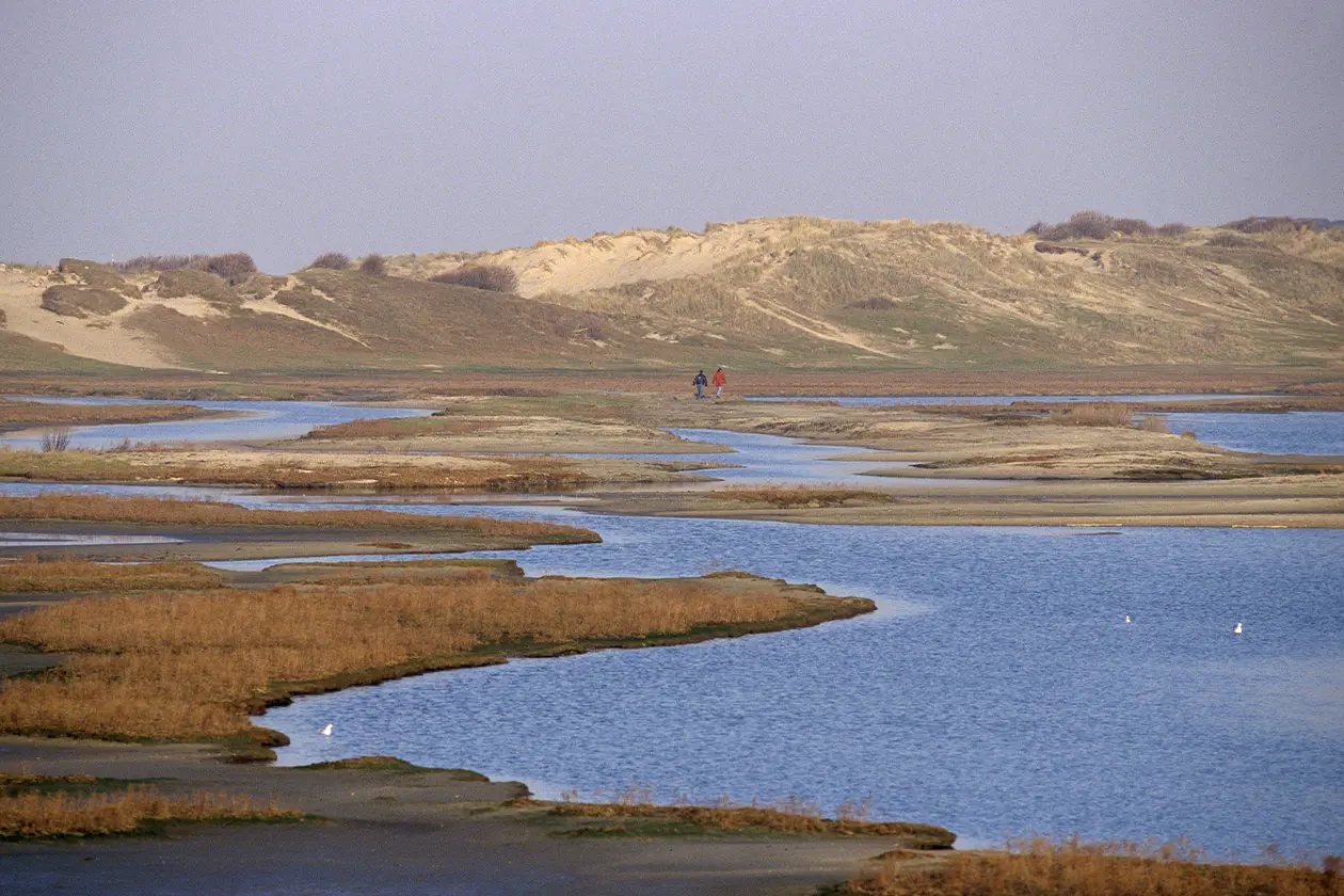 Nature Park Zwin coast Knokke-Heist walking © J.J.Soenen - Ente del Turismo delle Fiandre