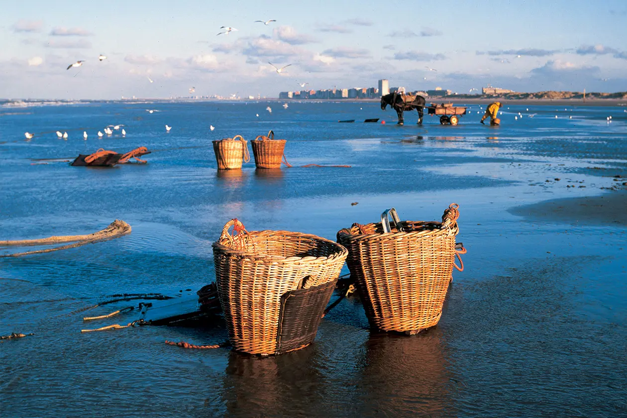 Baskets with shrimps Oostduinkerke Foto © D. de Kievith - Ente del Turismo delle Fiandre