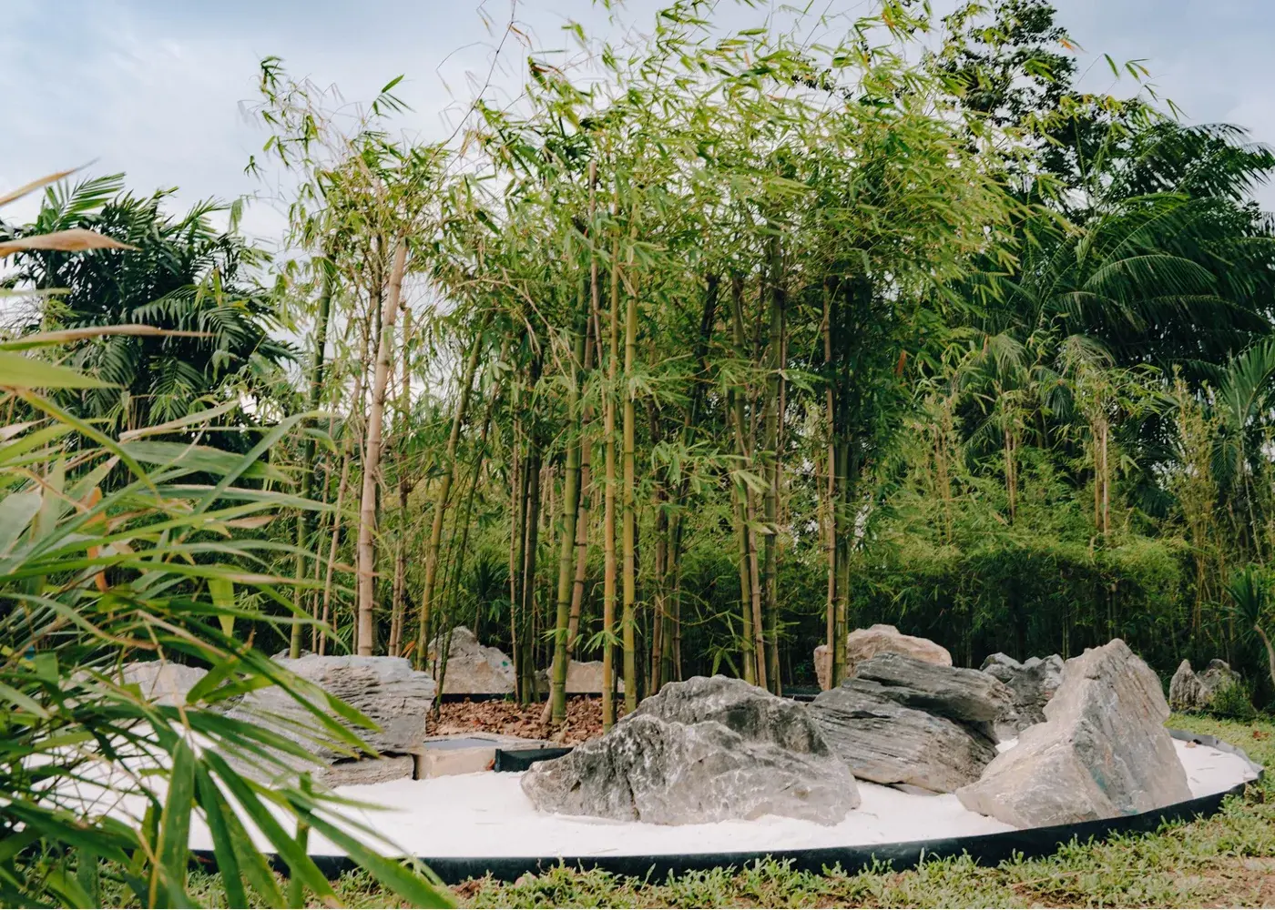 Changi Airport Bamboo Grove Copyright © Ufficio Stampa Changi Airport