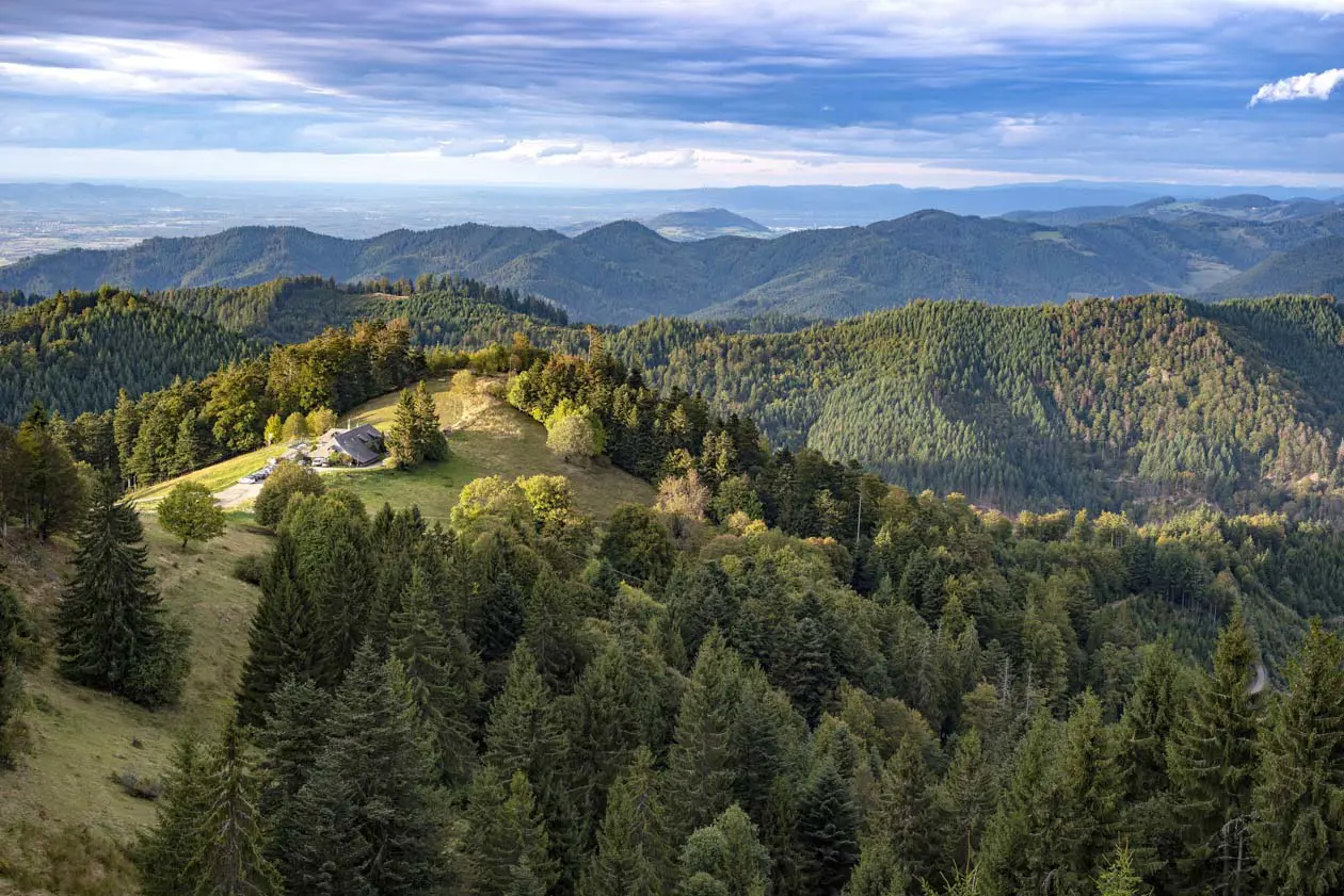 Münstertal Kälbelescheuer Blick zur Rheinebene © Thomas Coch, Ferienregion Münstertal Staufen