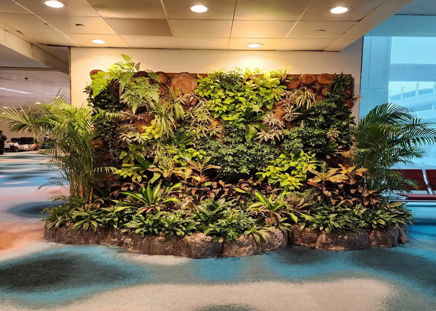 Changi Airport acquario di mangrovie Copyright © Ufficio Stampa Changi Airport