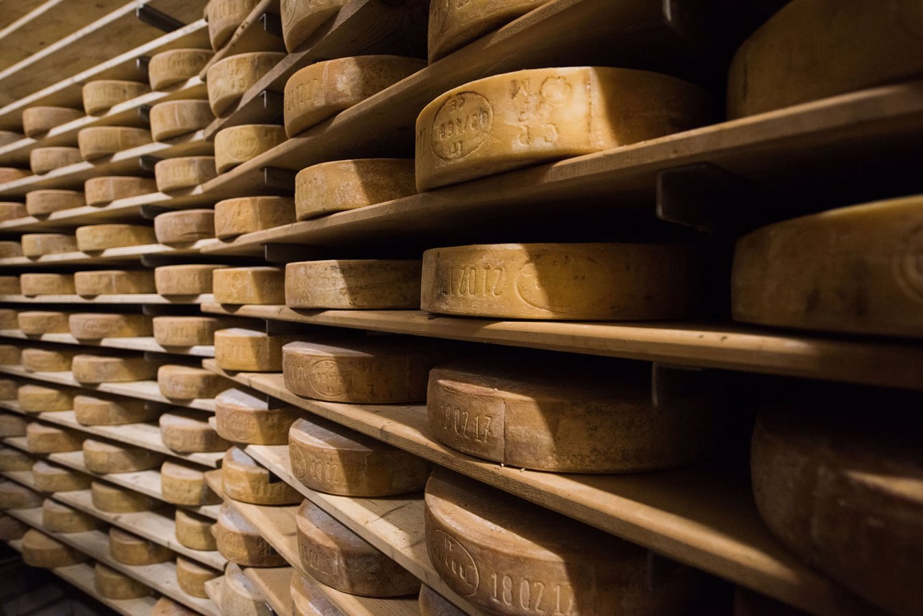 Cheese of Bergamo