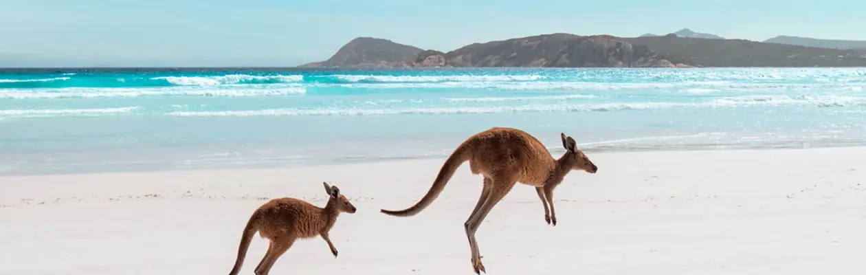 Western Australia: what to see between pink lakes and natural wonders