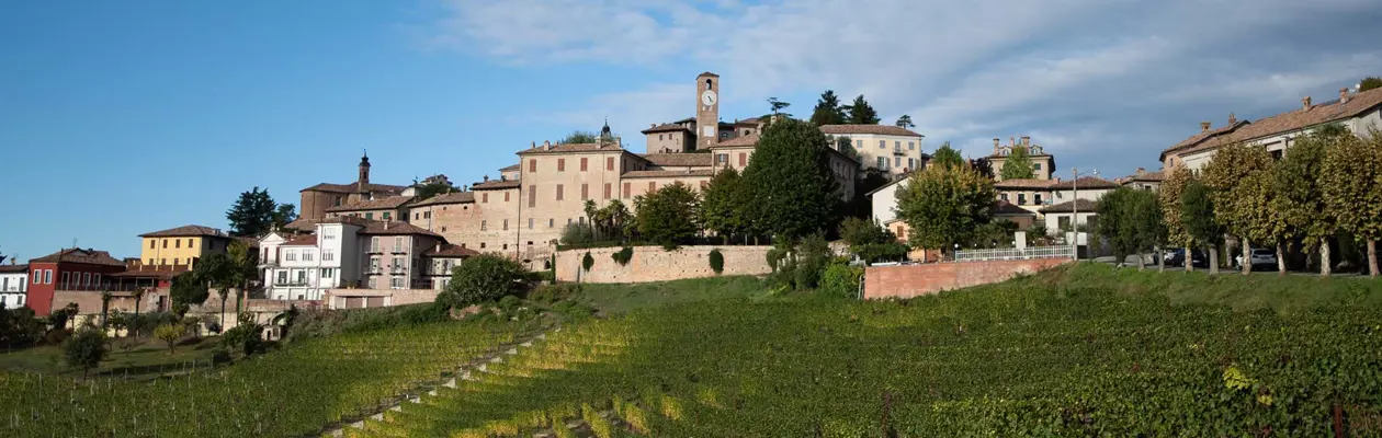 The Barbaresco Hills: land of wines and history between Barbaresco and Neive