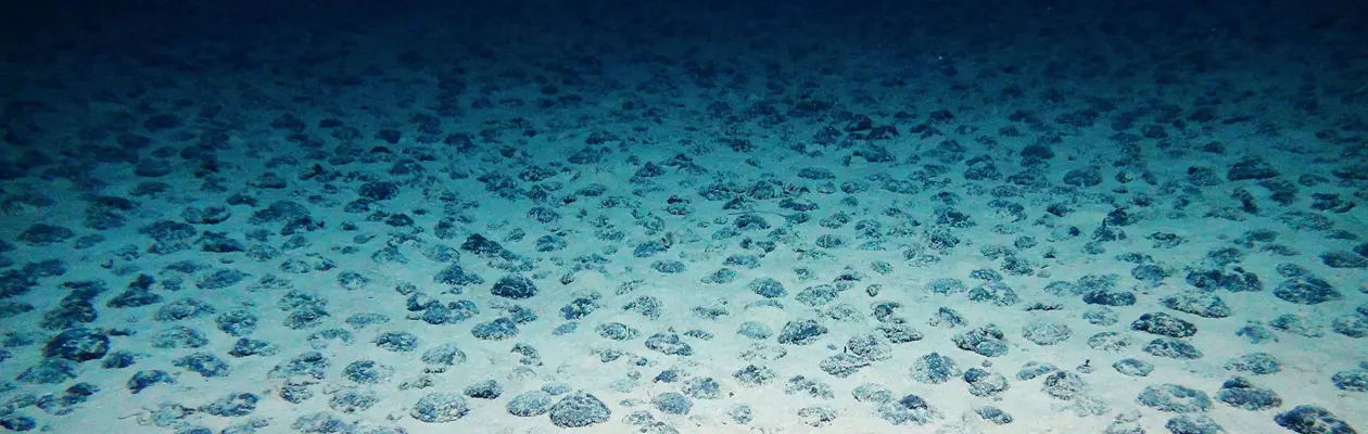 Global campaign to save the seabed