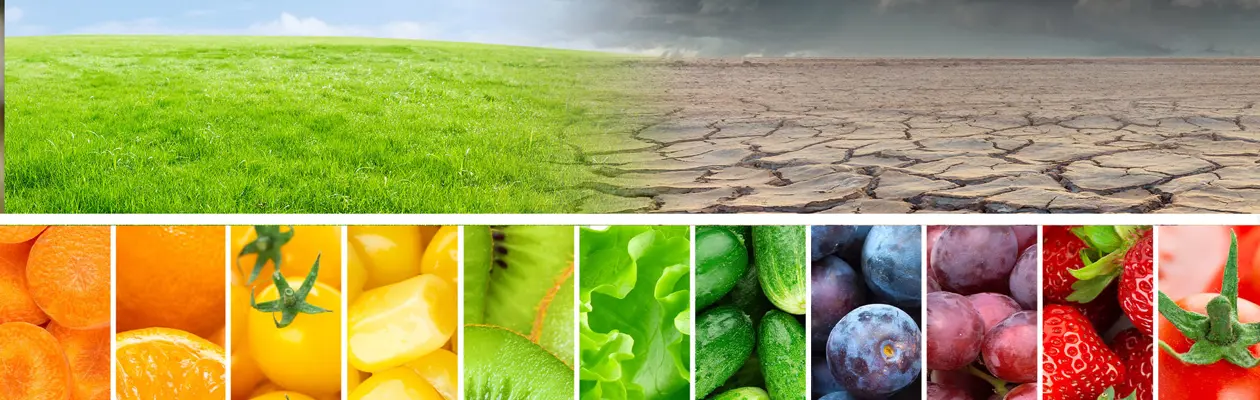 Close link between soil quality and human health