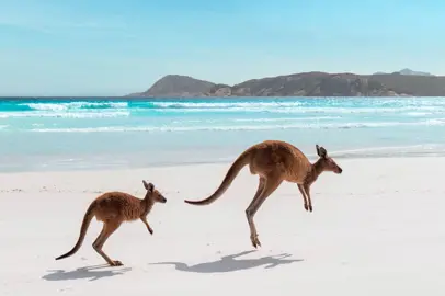 Western Australia: what to see between pink lakes and natural wonders