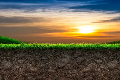 The soil is a solution to climate change, not a victim