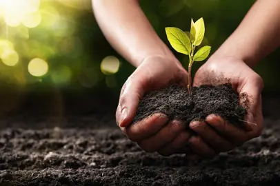 Saving the soil to save the environment