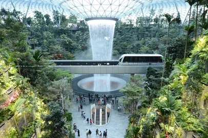 Changi Airport, an oasis between nature and innovation: from the bamboo grove to the mangrove aquarium