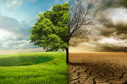 The causes and effects of soil degradation