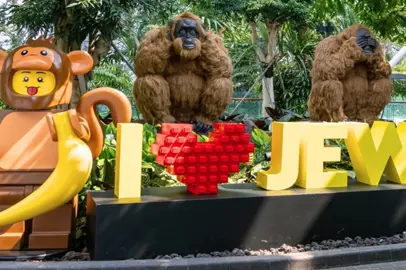 Jewel Changi flourishes with LEGO Botanicals