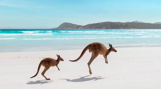 Western Australia: what to see between pink lakes and natural wonders