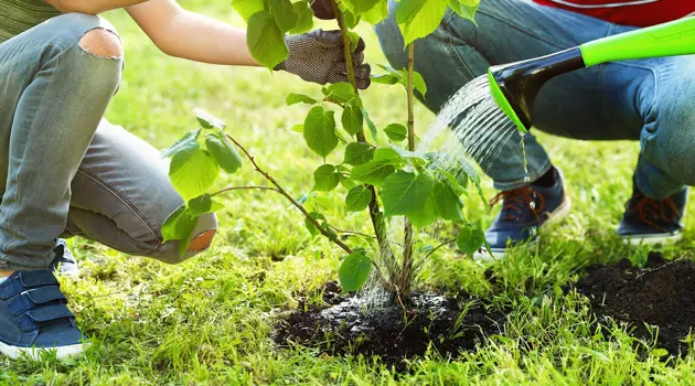 Il Parco “Tommaso Forti” di Fiumicino si arricchisce di 100 alberi