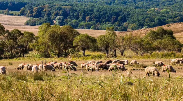 1/6 of humanity's food at risk, according to new UNCCD report
