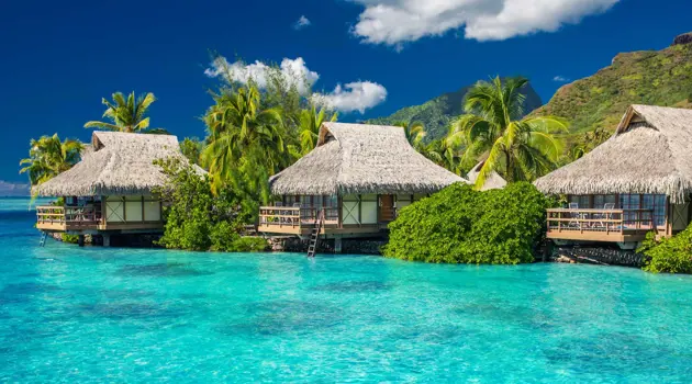 Hotels with 15% discounts