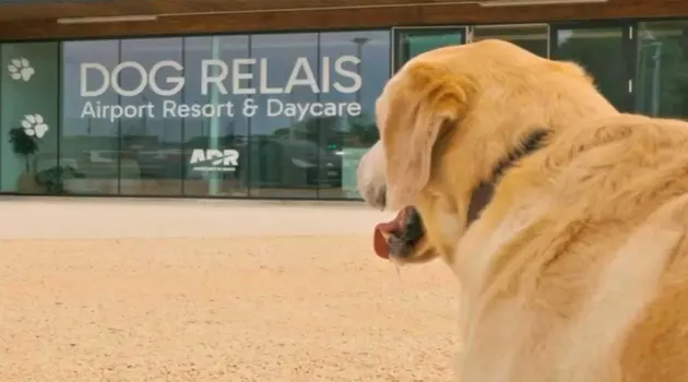 Dog Relais: the first dog resort at Fiumicino Airport