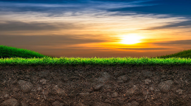 The soil is a solution to climate change, not a victim