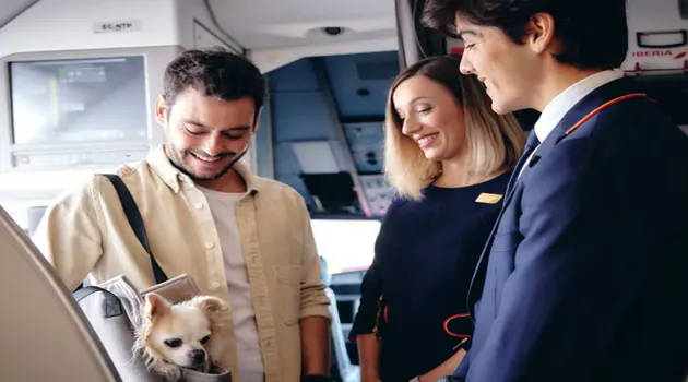 Iberia makes travelling with pets easy