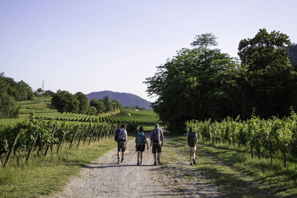 Percorsi in Franciacorta. Foto: Copyright © Visit Bergamo - Alessio Guitti