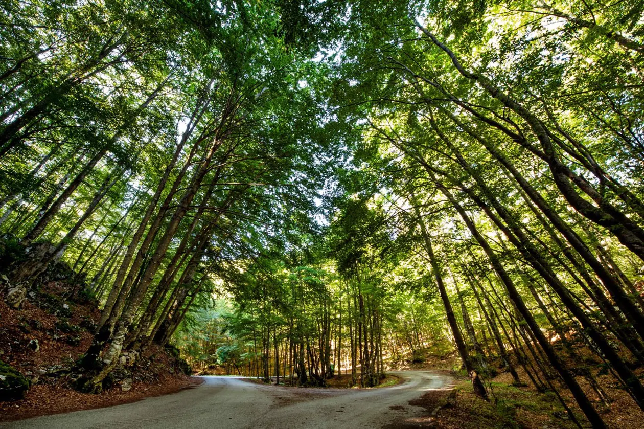 Parco del Pollino. 