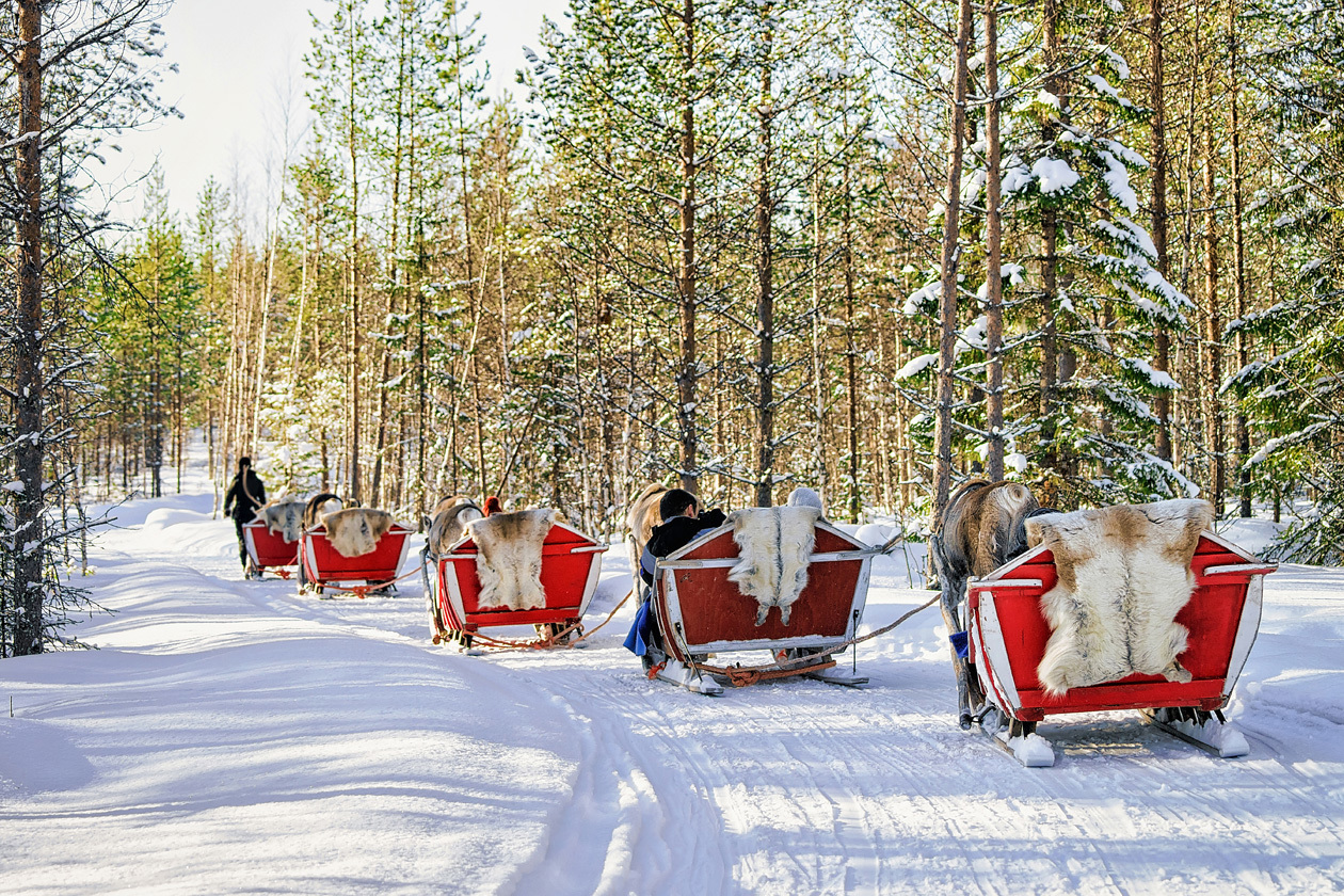 Reindeer Safari in Rovaniemi. Copyright © Sisterscom.com / Depositphotos