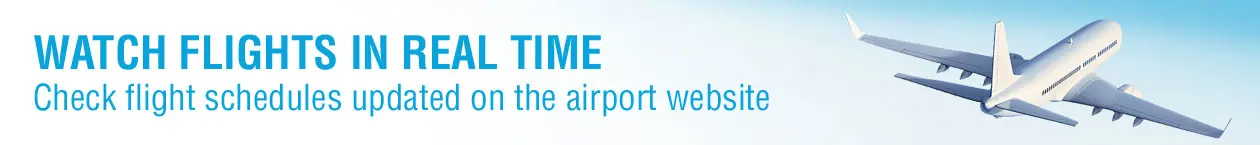 http://www.aeroportodialghero.it/partenze_.asp