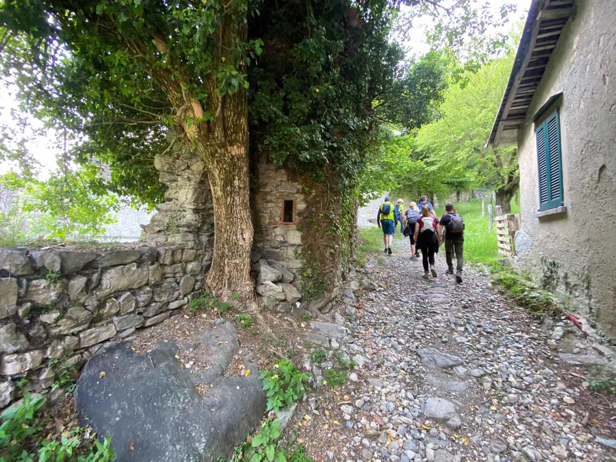 Trekking dall’Alpe di Megna alla Croce di Megna