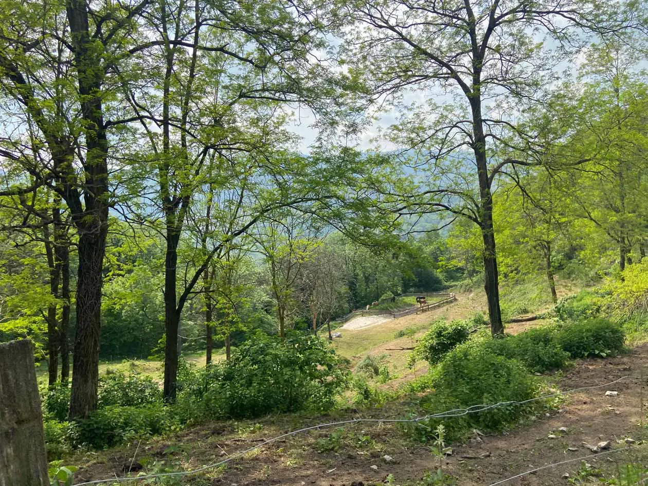 Trekking dall’Alpe di Megna alla Croce di Megna