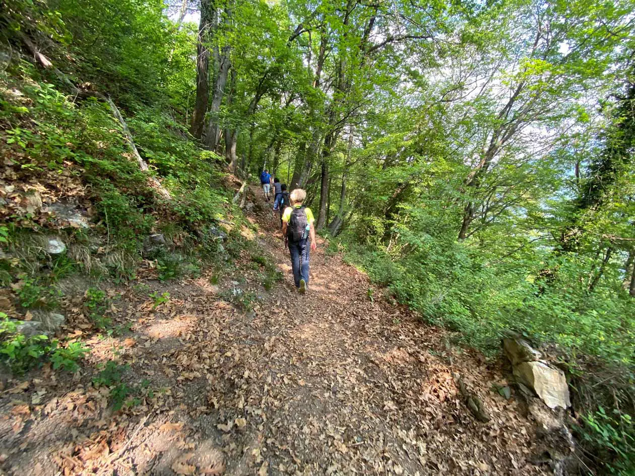 Trekking dall’Alpe di Megna alla Croce di Megna