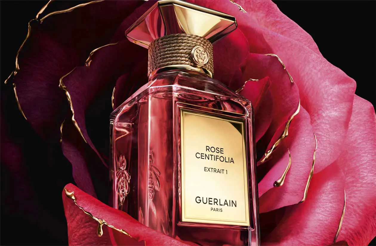 L'Art & La Matière, Les Extraits Signature di Guerlain. Rose Centifolia Extrait 1. Copyright © Guerlain.