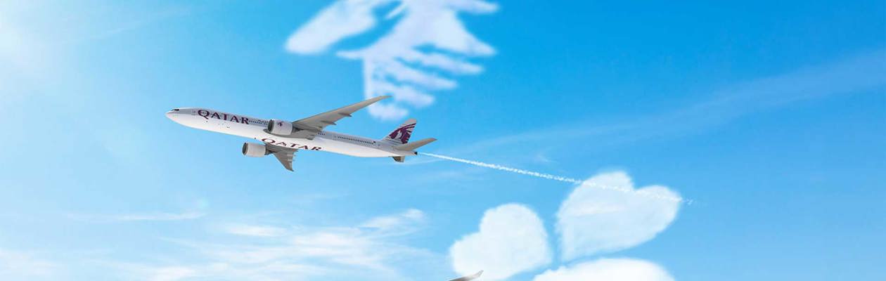 Codeshare tra Qatar Airways e Aer Lingus