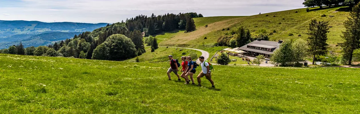 Foresta Nera in bici e a piedi