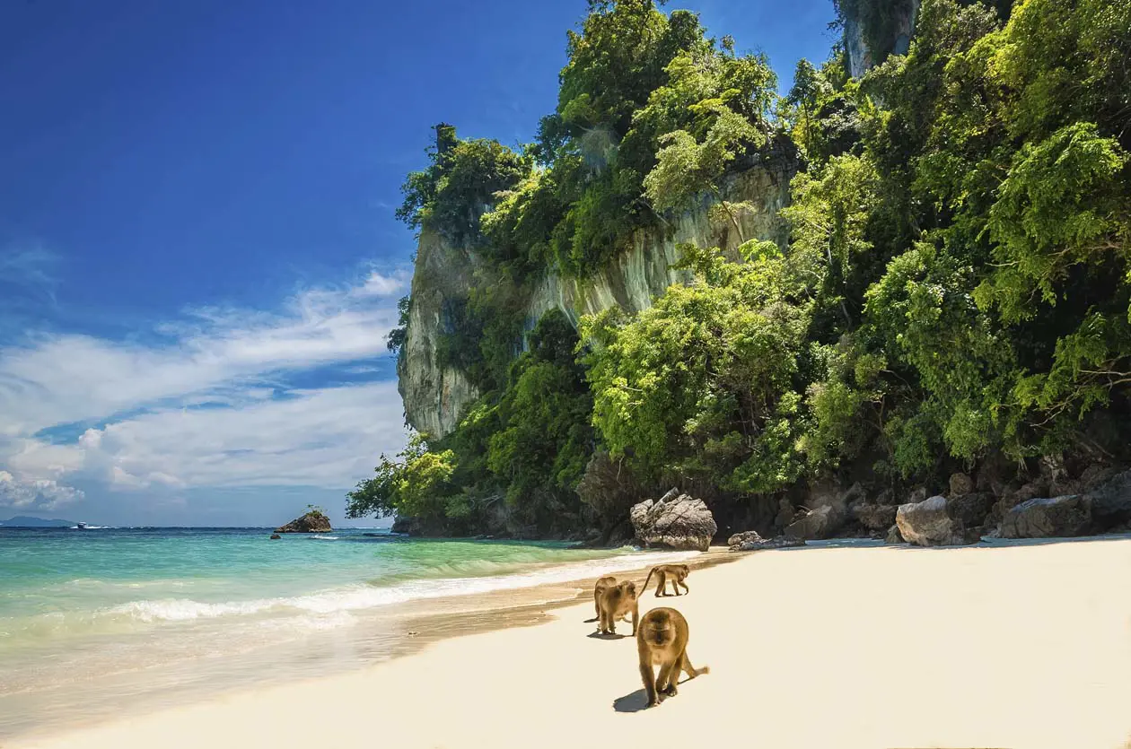 Phi Phi, Krabi, Thailandia Foto: Copyright © Sisterscom.com / Depositphotos 