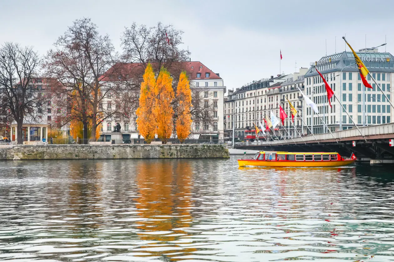 Mouettes a Ginevra. Foto: © Sisterscom.com, Shutterstock