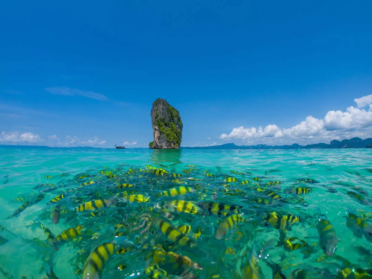Isole di Poda, Krabi, Thailandia Foto: Copyright © Sisterscom.com / Depositphotos
