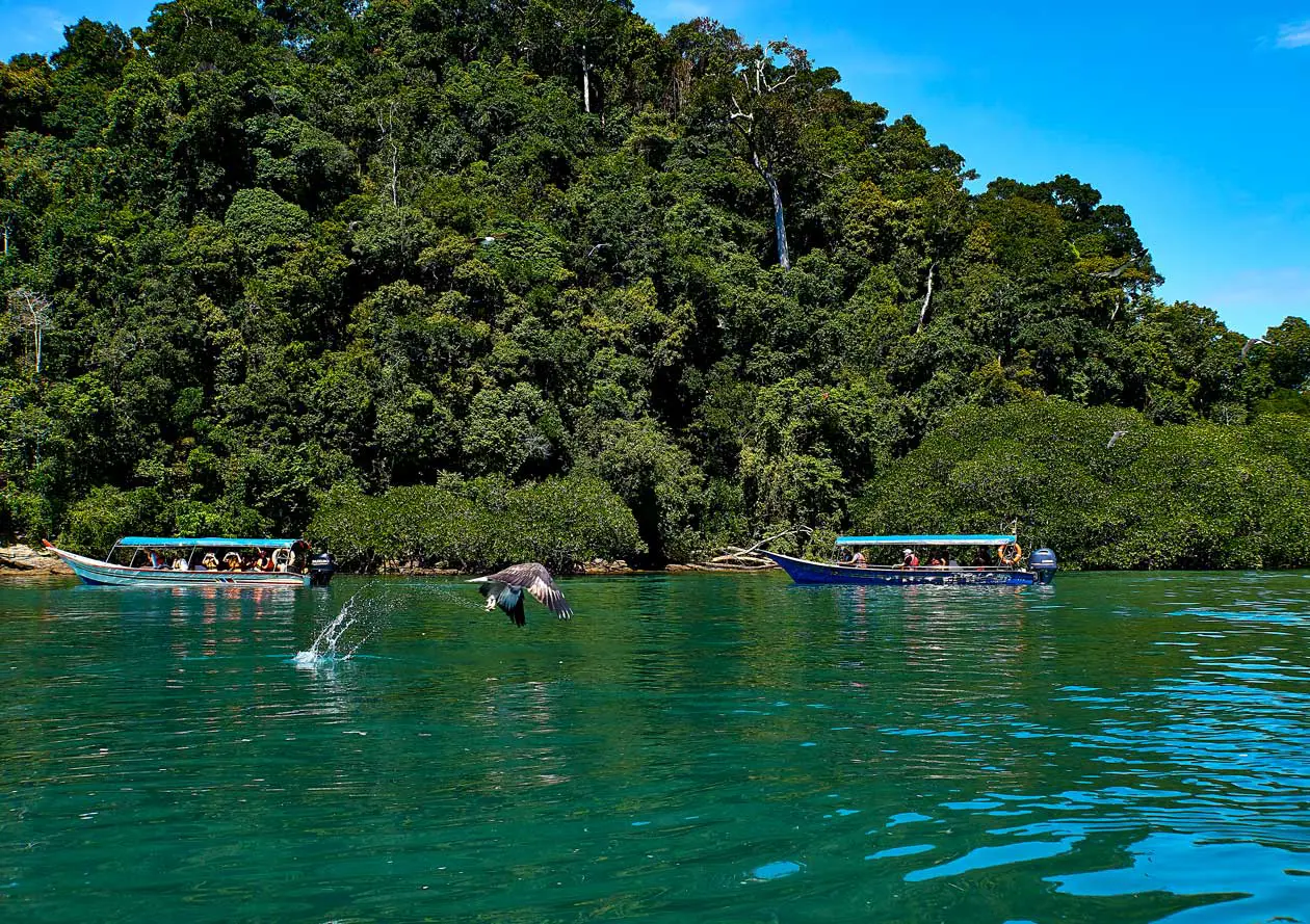 Kilim Karst Geoforest Park, Langkawi, Malesia Foto: Copyright © Sisterscom.com / Depositphotos
